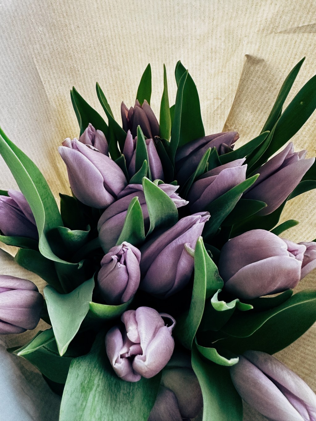 There Can Be&nbsp;Peace.